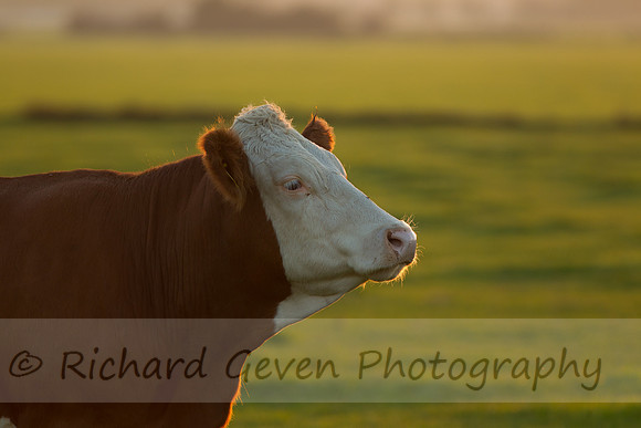 rgeven20151003-3230