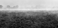 rgeven2016-0564