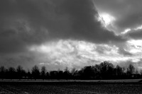 B&W / B&W