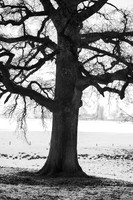 rgeven2017-4652