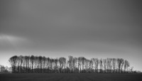 rgeven2017-4598