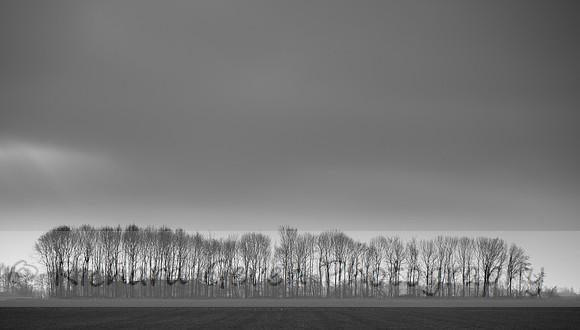 rgeven2017-4598