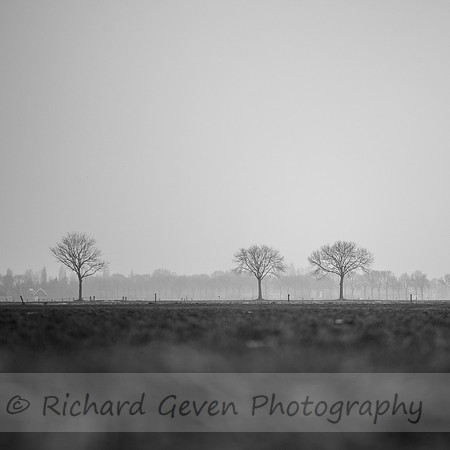 rgeven2017-4606