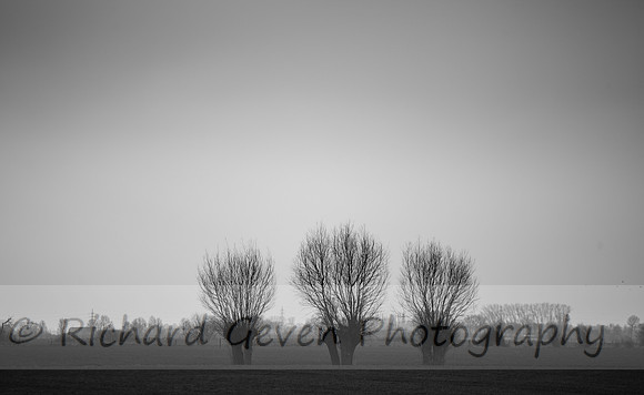 rgeven2017-4601