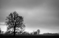 rgeven2017-4580