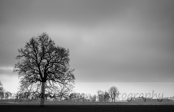 rgeven2017-4580