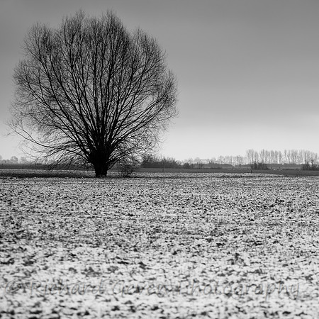 rgeven2017-4618