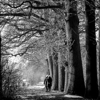 rgeven2017-4633