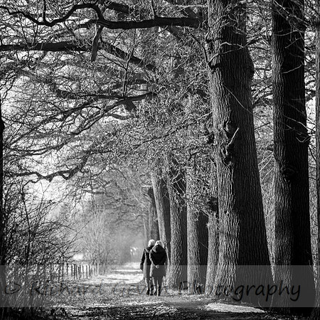 rgeven2017-4633