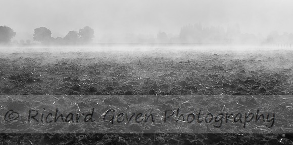 rgeven2016-0564