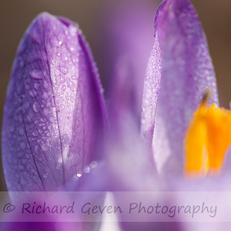 rgeven2017-6565