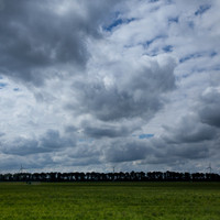 Zeewolde