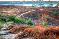rgeven2018-0136