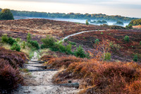 rgeven2018-0130