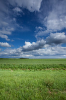 Zeewolde