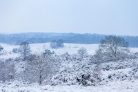 Postbank in de sneeuw