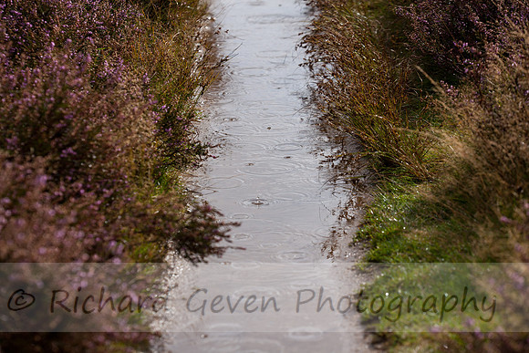 rgeven20151003-4405