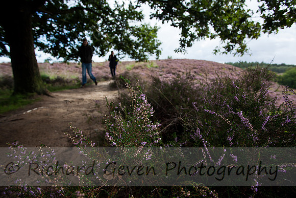 rgeven20151003-4372