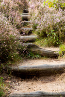 rgeven20151003-4301