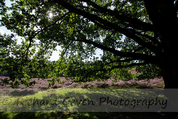 rgeven20151003-4415