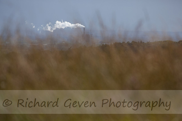 rgeven20151003-4458