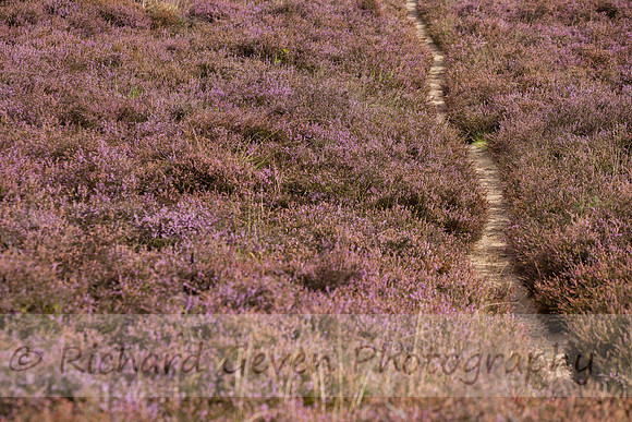 rgeven20151003-4407