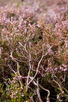 rgeven20151003-4303