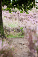 rgeven20151003-4362