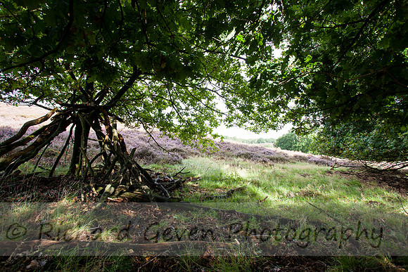 rgeven20151003-4424