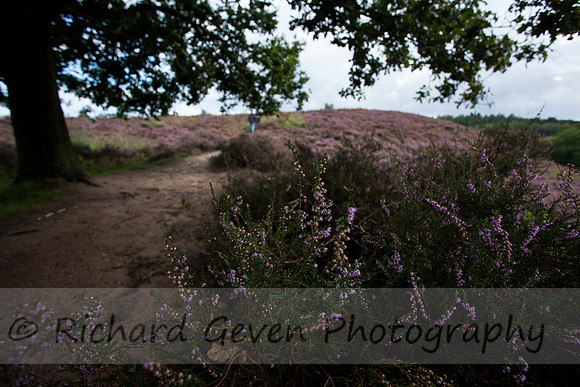 rgeven20151003-4371