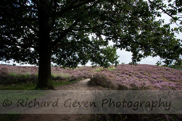 rgeven20151003-4367