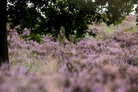 rgeven20151003-4361