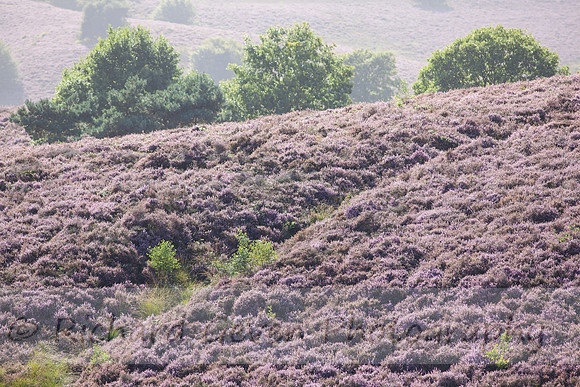 rgeven20151003-4463