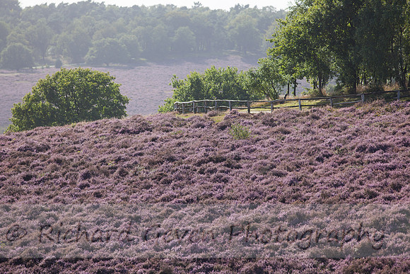rgeven20151003-4464