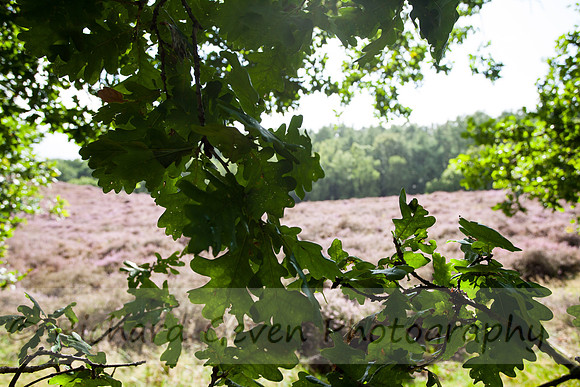 rgeven20151003-4422