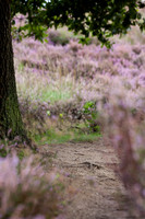 rgeven20151003-4364