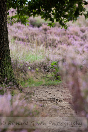 rgeven20151003-4364
