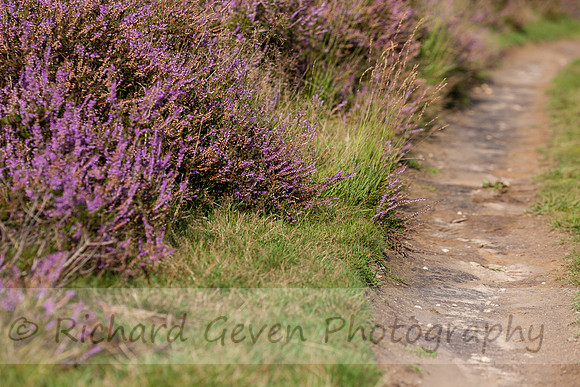 rgeven20151003-4431