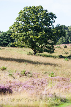 rgeven20151003-4434