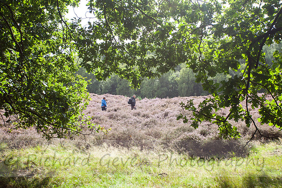 rgeven20151003-4418