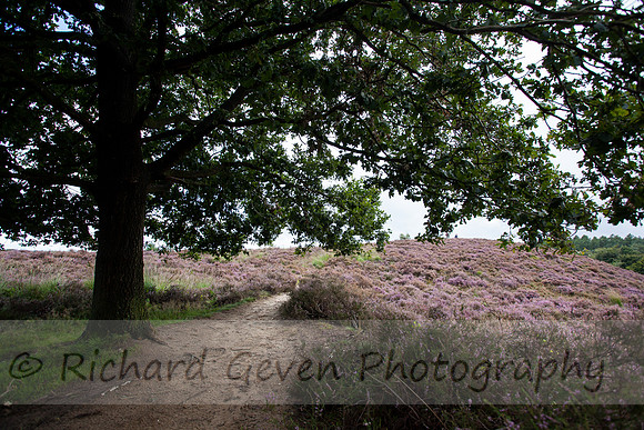 rgeven20151003-4368