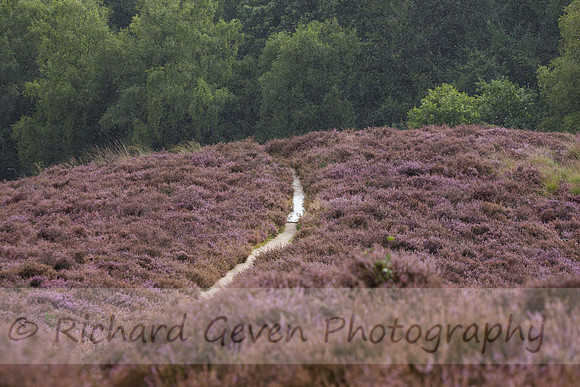 rgeven20151003-4395