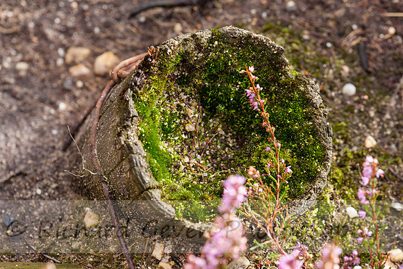 rgeven20151003-4404