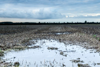 Duivensebroek