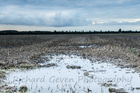 Duivensebroek