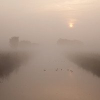 rgeven2016-8779