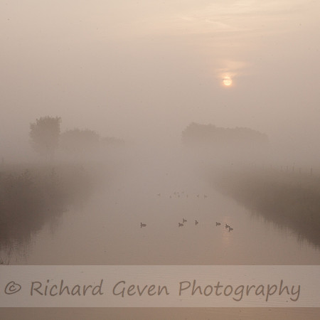 rgeven2016-8779