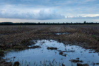Duivensebroek