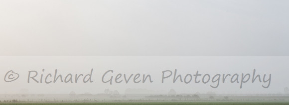 rgeven2016-8788