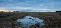 Duivensebroek